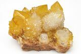 Sunshine Cactus Quartz Crystal Cluster - South Africa #212682-1